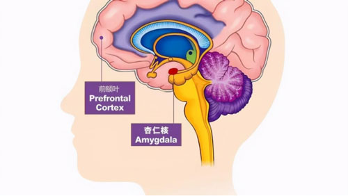 当孩子被欺负时，这句话永远不要对他说，会影响孩子的一生