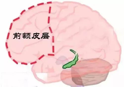 高智商的孩子，小时候都有这4个“坏习惯”，妈妈还得惯着！