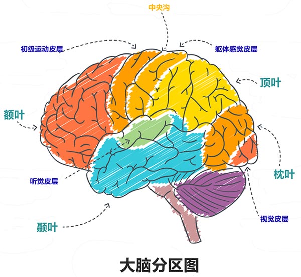 “三年级现象”请提早重视！孩子9岁前，父母千万别在这4件事上偷懒
