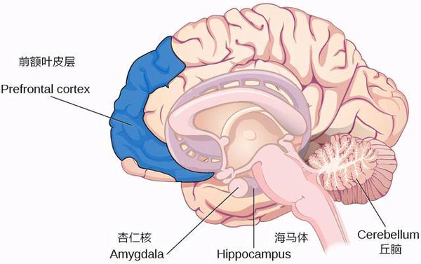 80%的父母都搞错了“上小学”的重点，抓好这3件事才是关键！