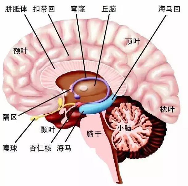孩子“情绪失控”时，家长该怎么应对？这位爸爸的做法堪称育儿典范！