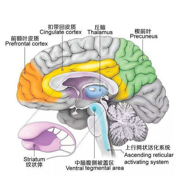 内心“自卑”孩子，藏也藏不住，别让自卑操控孩子